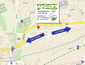 KOMBUCHA BIO - Petr Tengler